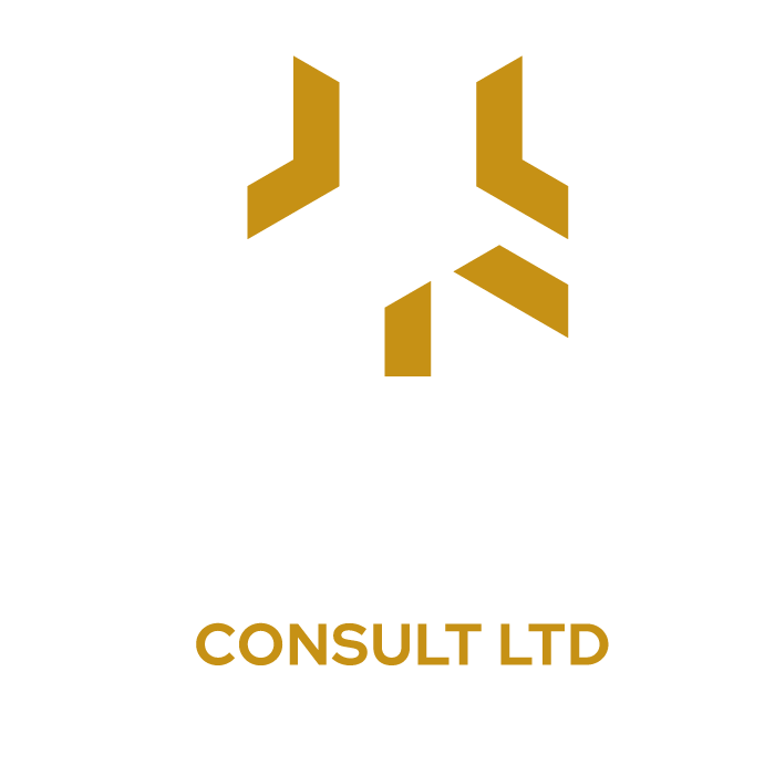 Jking Consult Ltd